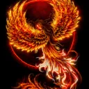 beto6567 avatar
