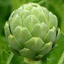 th3lon3artichok3