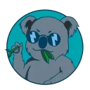 yosoykoala
