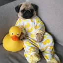 sleepyflex
