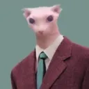 captaincatiskys