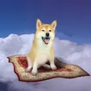 thestonedshiba