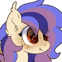 shimshamsimp