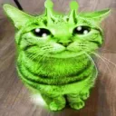 frogginryguy