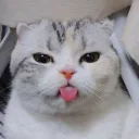 watchmehehehe