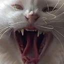 piklwi