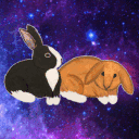 moongazerbunny