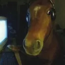 bigjuicysquirrel