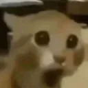 wei_img