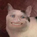 stefanstefanstefanstefanstefanst