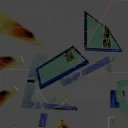 squashedbug