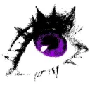 bizi4l
