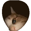 itsmenotyou