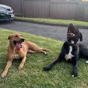 avatar Operating Thetan