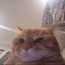 0xgamer