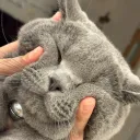 nanakusamochio