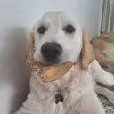 munchiiieee