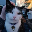 zootmeister
