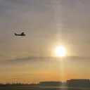 brave_aviator