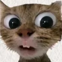 kenzhoyy