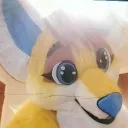 sans84