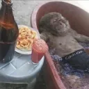 f_enrir