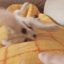 nesquik_s