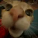 robbot12