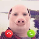 v1kt0rr