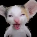 7i9h