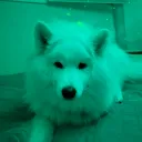 specsnow