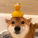 Avatar for CHASKOH (✌?)