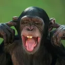 Аватар gonzo7146