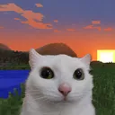 hapard.