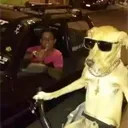 endxxr