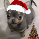 samuelherrera14xd's Avatar