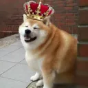 thekingdoge9076