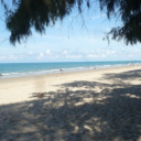 avatar तेजित