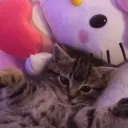 puixc