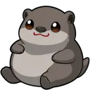 senorotter