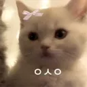uluvdiiego