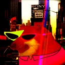 a_guy_called_calvin