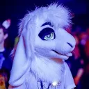 languidlamb