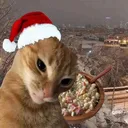 piccowaty
