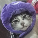 hypezuni