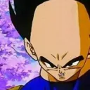 vigeta1736 avatar
