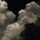 soyasvel