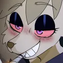 furracochina_zzz avatar