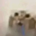 504908557628604417