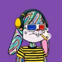 ocdbuddy